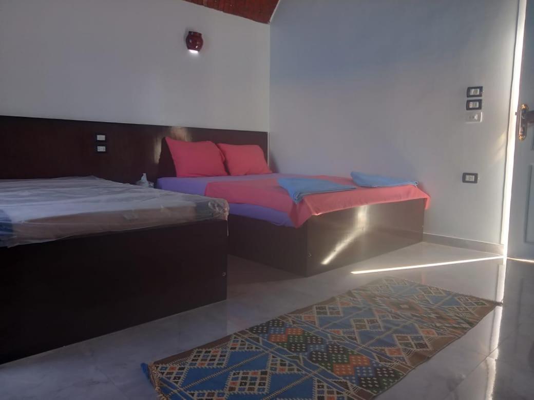 Kafana Guest House Nile View Асуан Экстерьер фото